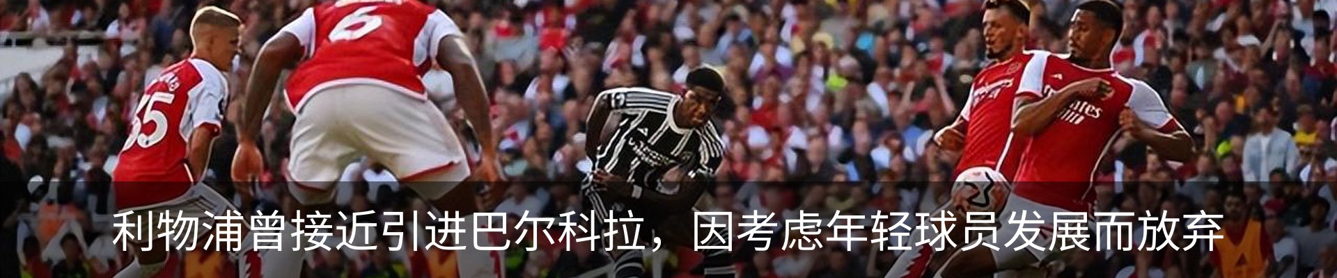 最新动态