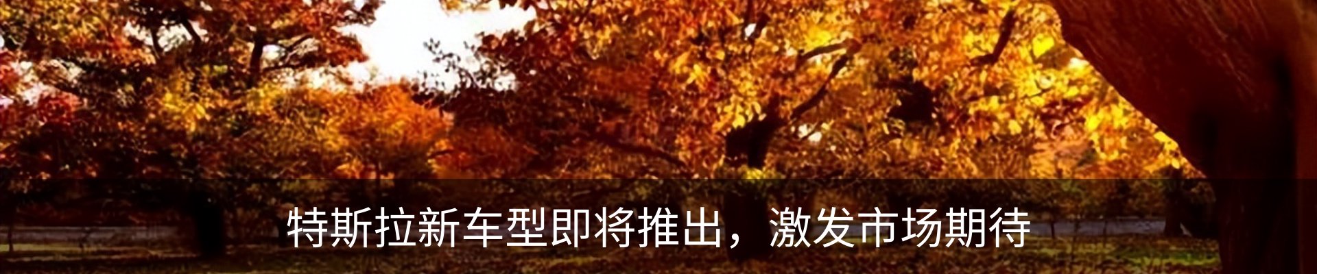最新动态