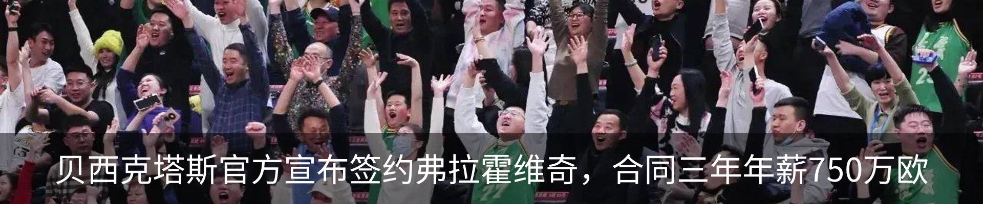 最新动态